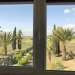 Agave