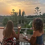 فيلة Agave مينفي