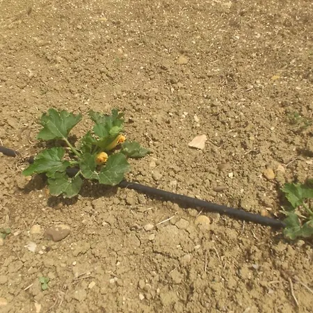 וילה Agave מנפי
